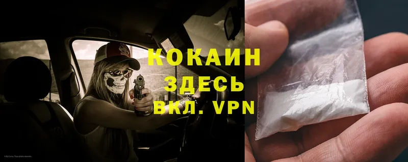 наркота  Лениногорск  Cocaine FishScale 