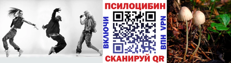 Псилоцибиновые грибы Magic Shrooms  Лениногорск 