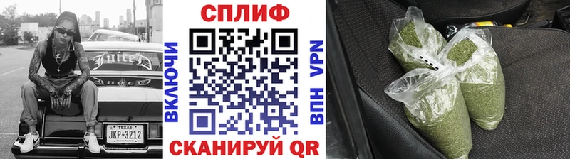 Канабис сатива  Лениногорск 